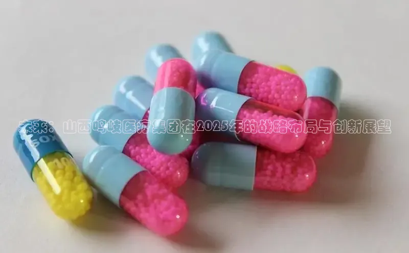 3377体育app登录入口