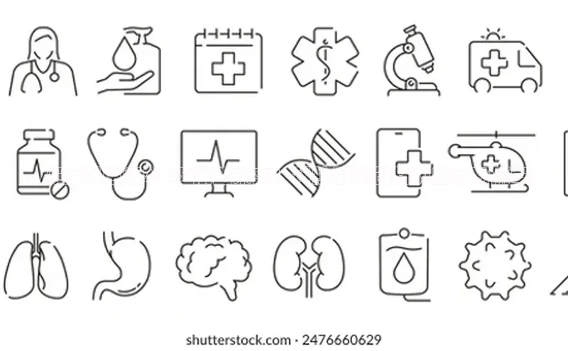 3377体育app官方网站