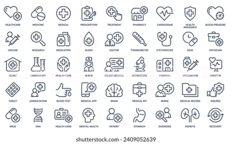 3377体育app登录入口手机版