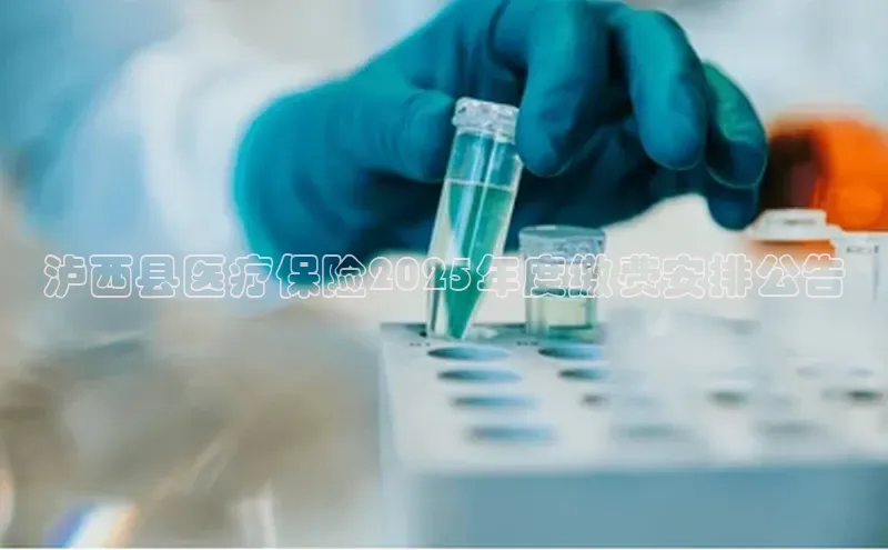 3377体育app官方网站