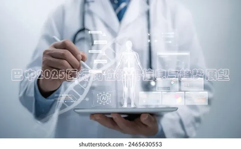 3377体育官网入口网页版