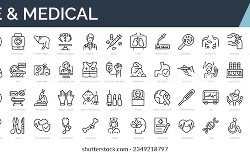 3377体育app登录入口