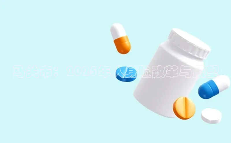 3377体育官网
