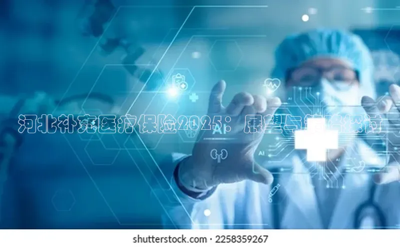 3377体育网站入口下载