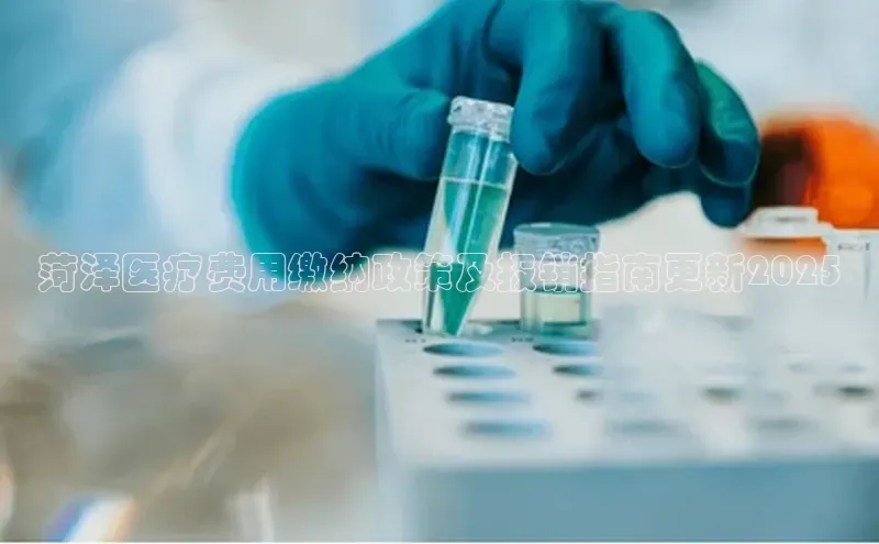 3377体育网站平台登录