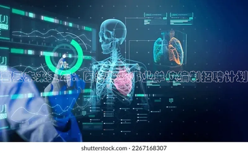 3377体育官网