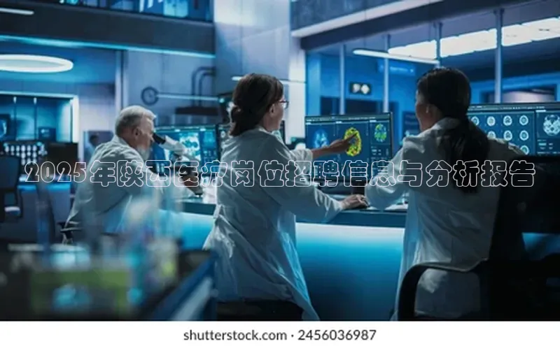 3377体育网站入口下载